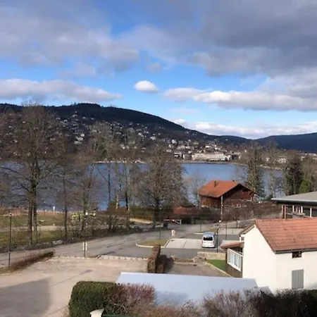 L'Aubepine Au Bord Du Lac Vue Directe Sur Le Lac ,Borne E A 20M Gerardmer Exterior photo
