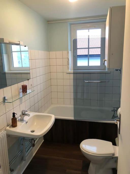 Apartment L'aubepine Au Bord Du Vue Directe Sur Le ,borne E A 20m Gerardmer