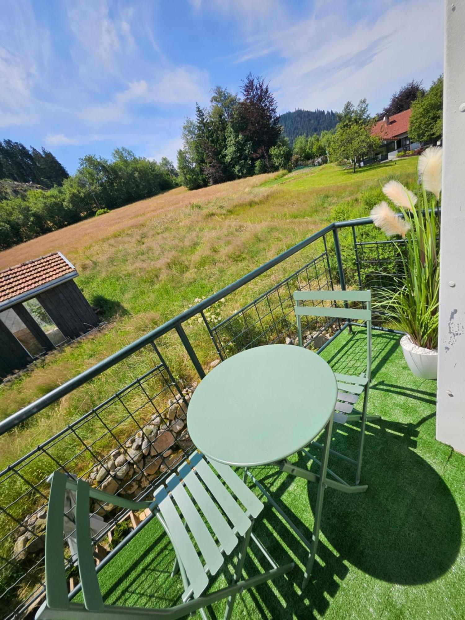 L'aubepine Au Bord Du Vue Directe Sur Le ,borne E A 20m Apartment *